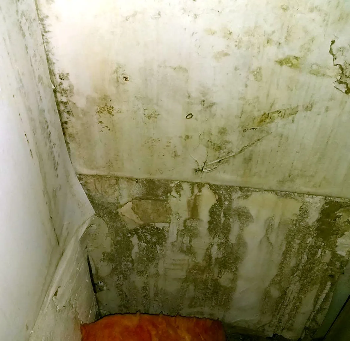Mold Remediation — Manar Park Restoration project in Palm Beach County